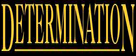 Determination